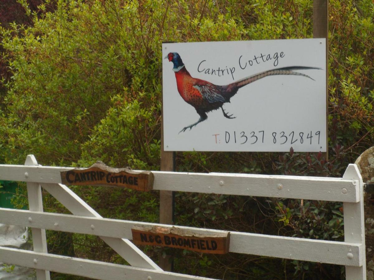Cantrip Cottage Cupar Kültér fotó